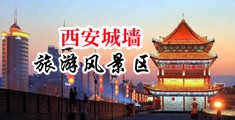 看操逼中国陕西-西安城墙旅游风景区